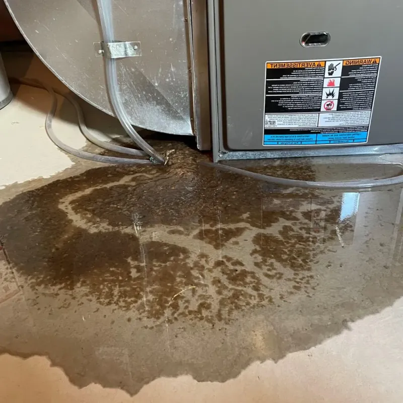Pipe Burst and Leak Restoration in Fairmont City, IL