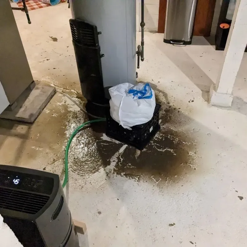 Sewage Backup Cleanup Service in Fairmont City, IL